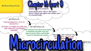 Microcirculation Chapter 16 part 1 Guyton and Hall Physiology [upl. by Ahsienak]