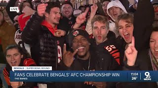 Bengals fans celebrate AFC Championship win [upl. by Khalin]