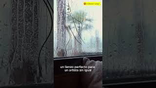 Lluvia para la mente reflexiva ASMR [upl. by Pomfret747]