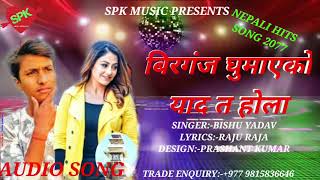 BIRGUNJ GHUMAYE KO YAAD TA HOLASinger Bishu DewanaTiktok Nepali Trending 2020Nepali Hit Song 2021 [upl. by Tor138]