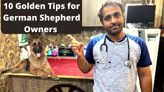 10 German Shepherd Care Tips  Golden rules to keep GSD [upl. by Jacoby]