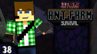 Extreme Ant Farm Survival E38  DOVE SONO FINITO [upl. by Sabec]