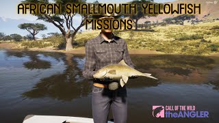 African Smallmouth Yellowfish Missions [upl. by Kiki340]