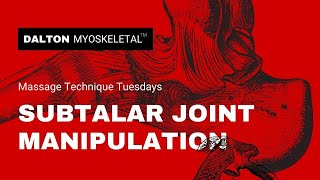 Subtalar Joint Manipulation and Manual Therapy Technique [upl. by Nogaem664]