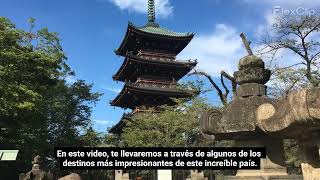 Por qué deberías visitar Japón y no solo Tokio [upl. by Rego]