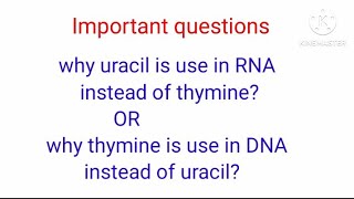 why uracil is use in RNA instead of thymine [upl. by Tarazi]