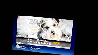 ASPCA End of Year Commercial [upl. by Volding]