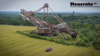 Einmalige Kulisse  Heuernte 2024  CASE IH BAGGER 1473 🇩🇪 [upl. by Ierdna]