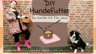 quotDIYquot Hundefutter selber kochen [upl. by Hachmann]