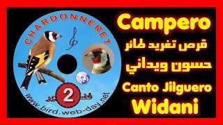 تغريد طائر الحسون الويدانيcanto jilguero widani 1 CD [upl. by Ardnos]