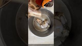 Making Bone Broth with ginger recipe cooking [upl. by Kingsbury]