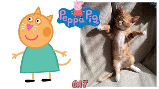 Peppa Pig Characters in Real Life [upl. by Loughlin]