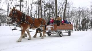 A winter tour of Muskegon State Park [upl. by Ladnyk37]