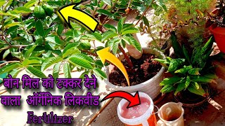 Bone meal compost ko takkar dene wala yeh fertilizer fruiting aur flowering plant mein dale [upl. by Enairb]