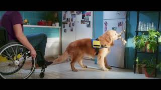 Honden hebben ook handen – Pedigree® DentaStix™ [upl. by Yauqaj]