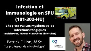 Chapitre 3 Mycètes et infections fongiques 101302HU Infection et immunologie en SPU [upl. by Letnohc829]