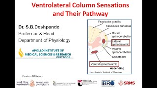 Physiology of Ventrolateral Column Sensations by SB Deshpande [upl. by Chi]