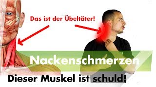 Nacken und Kopfschmerzen  Löse JETZT diesen Muskel [upl. by Ahsiuqet84]