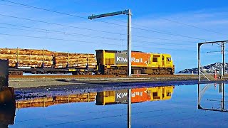 KiwiRails Wairarapa Log Trains in Service HD [upl. by Michal708]