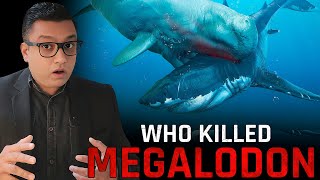 Why MEGALODON Got Extinct Does the Megalodon Still Exist [upl. by Aennyl]