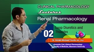 Renal Pharmacology Ar  02  Loop diuretics and thiazides [upl. by Ahseiyn280]