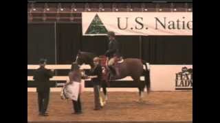 Rakhassa Bey  2012 Sport Horse National Championships [upl. by Zilber]