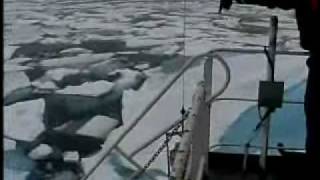 Coast Guard Icebreaker Healy Video [upl. by Angelica3]