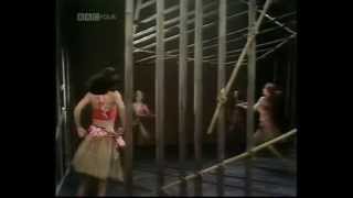 Pans People  More More More  TOTP TX 29041976 [upl. by Alyose]