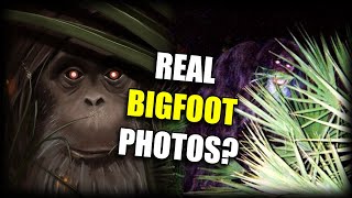 Was the Myakka Skunk Ape Real or a Hoax [upl. by Emerson]