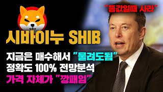 시바이누 SHIB 긴급 지금은 용감하게 quot매수하세요quot 물려도 되는 가격입니다 정확도 100 차트분석 영상 필수시청 코인시황 [upl. by Scuram]