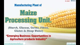 Manufacturing Plant of Maize Processing Unit Starch Glucose Germs Fibres Gluten amp Steep Water [upl. by Ranchod305]