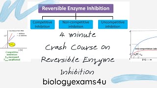 Competitive Noncompetitive and Uncompetitive inhibition4 Minute Summary [upl. by Ailecra]