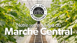 Notre cinquième serre au Marché Central redéfinit l’agriculture urbaine [upl. by Faxon]