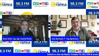 Conversando de Agricultura en RadioCamilaTV de LosAngelesCL [upl. by Venable]