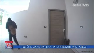 Cucciolo rapito a Nola lincredibile video  La vita in diretta 17022022 [upl. by Bautista]