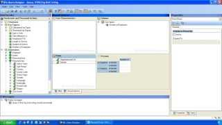 SAP BW  How To Create Your First SAP BW BEx Analyzer Query [upl. by Heinrik]