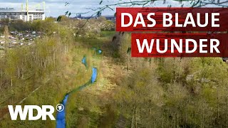 Die Emscher – Von der Kloake zum Naturparadies  Heimatflimmern  WDR [upl. by Estelle]