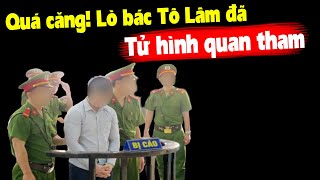 Không đùa TBT Tô Lâm đã ban án tử Kế toán trưởng rút ruột trăm tỉ [upl. by Ainahpets]