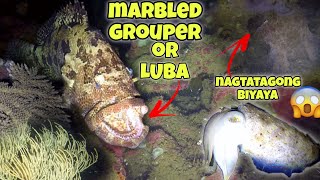 eps143 MAY NAGTATAGONG BIYAYA😱 AT MERON PA MALAKING LUBA🤑 fishing nightspearfishing gopro fish [upl. by Luapleahcim]