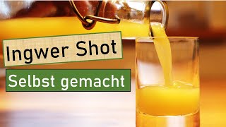 Ingwer Shot ganz leicht selber machen 😋 Immunsystem stärken 💪 Fit durch den Winter 💚 Saatenvielfalt [upl. by Kora555]