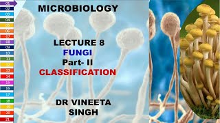 Understanding Fungal Classification A Deep Dive into Mycology [upl. by Eradis]