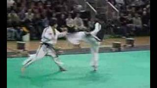 ITF Taekwondo Demonstrations [upl. by Anicart]