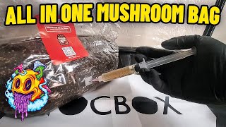 All In One Mushroom Grow Bag Inoculation  S2 EP1 [upl. by Eirojam290]