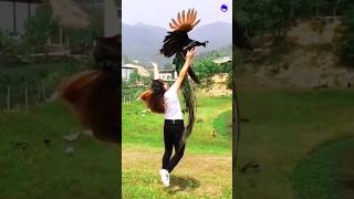 A flying peacock peacock shorts bollywood hindisong [upl. by Llieno]