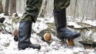 Яловые сапоги древесные грибы  Jackboots Wood fungi [upl. by Dannel]