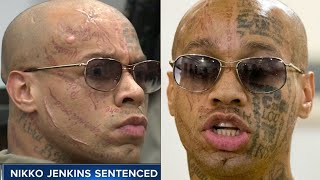 The Disturbing Case of Nikko Jenkins [upl. by Ainattirb675]