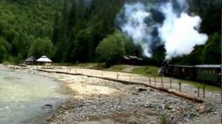 MOCANITA  Vaser Valley forestry railway HD [upl. by Aneem]