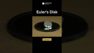 Eulers Disk Spinning For a Long Time science physics viral [upl. by Chlores600]