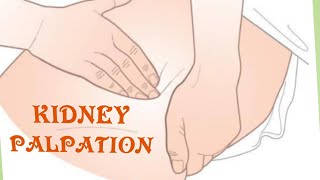 Kidney Palpation  Physical Examination Techniques For Clinical Practice☝️ [upl. by Nymsaj]