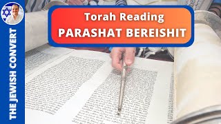 PARASHAT BEREISHIT  Weekly Torah Reading in Hebrew amp English Translation  TORAH STUDY [upl. by Jaquelyn]